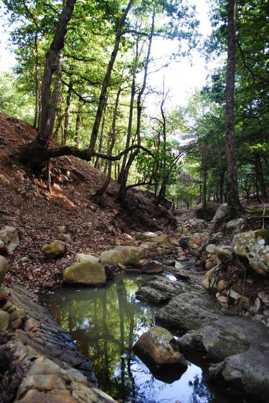 Nationalpark El Feija