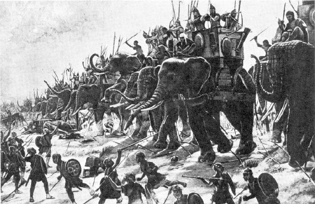 Zama - Hannibals Kriegselefanten
