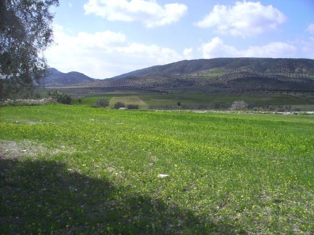 Jeradou - Dorsale-Gebirge