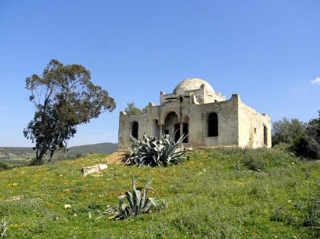 Sainte Marie du Zit - Oued Ez Zit