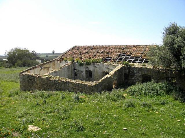 Sainte Marie du Zit - Oued Ez Zit