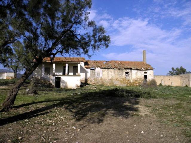 Sainte Marie du Zit - Oued Ez Zit