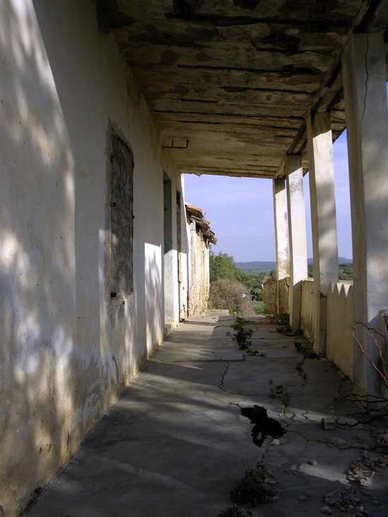 Sainte Marie du Zit - Oued Ez Zit