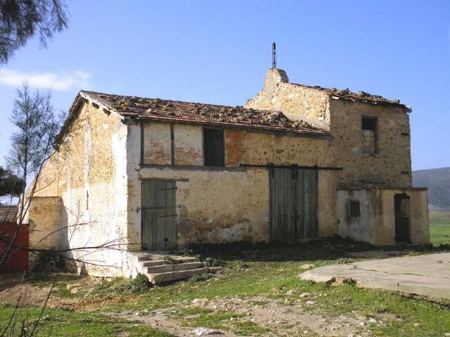 Sainte Marie du Zit - Oued Ez Zit