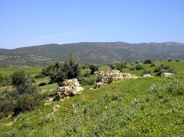 Sainte Marie du Zit - Oued Ez Zit