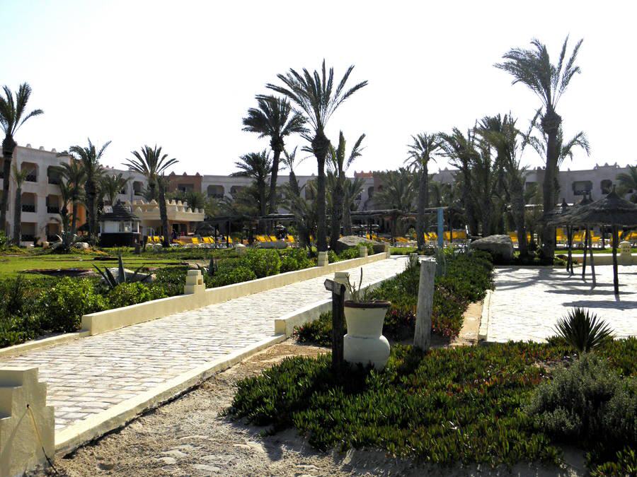 Zarzis - Hotel Safira Palms