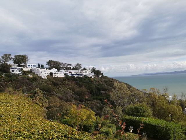 Tunis - Sidi Bou Sad