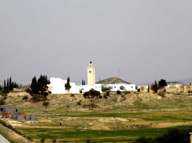 Sidi Khelifa